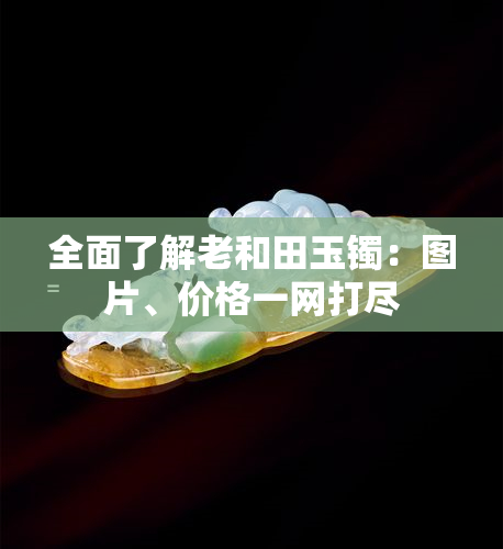 全面了解老和田玉镯：图片、价格一网打尽