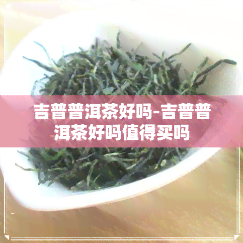 吉普普洱茶好吗-吉普普洱茶好吗值得买吗