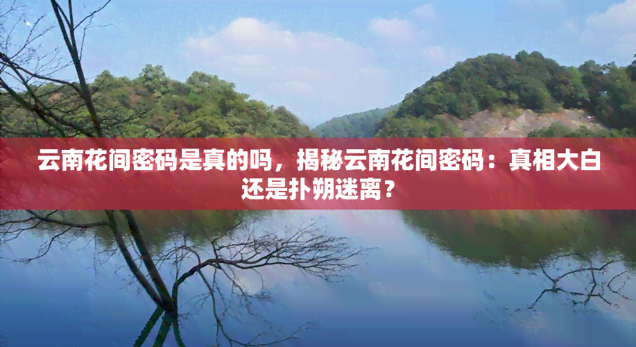 云南花间密码是真的吗，揭秘云南花间密码：真相大白还是扑朔迷离？