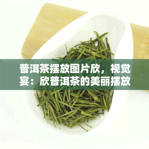 普洱茶摆放图片欣，视觉宴：欣普洱茶的美丽摆放大全