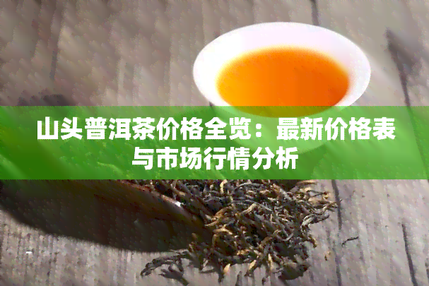 山头普洱茶价格全览：最新价格表与市场行情分析