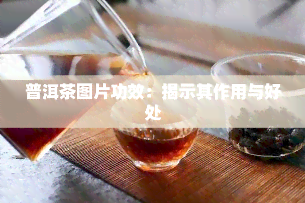 普洱茶图片功效：揭示其作用与好处