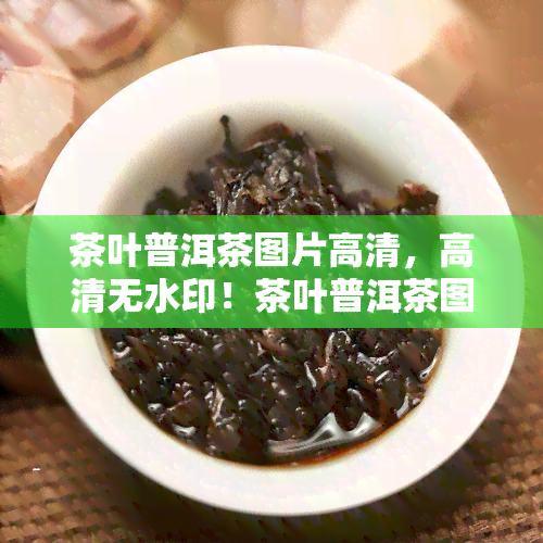 茶叶普洱茶图片高清，高清无水印！茶叶普洱茶图片大全，收藏必备！