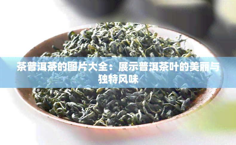 茶普洱茶的图片大全：展示普洱茶叶的美丽与独特风味