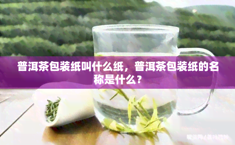 普洱茶包装纸叫什么纸，普洱茶包装纸的名称是什么？