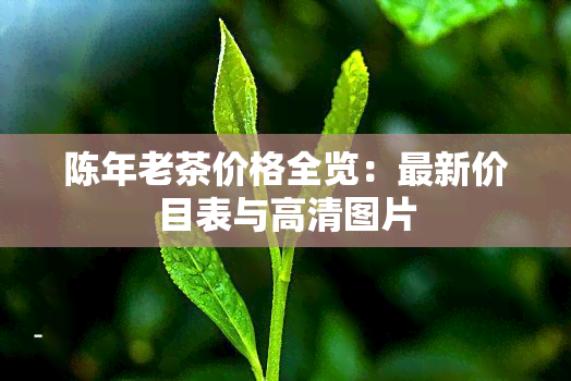 陈年老茶价格全览：最新价目表与高清图片