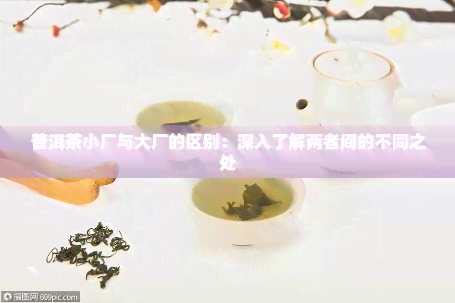 普洱茶小厂与大厂的区别：深入了解两者间的不同之处