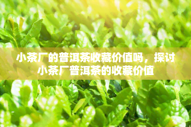 小茶厂的普洱茶收藏价值吗，探讨小茶厂普洱茶的收藏价值