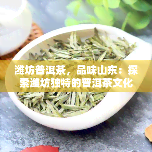 潍坊普洱茶，品味山东：探索潍坊独特的普洱茶文化