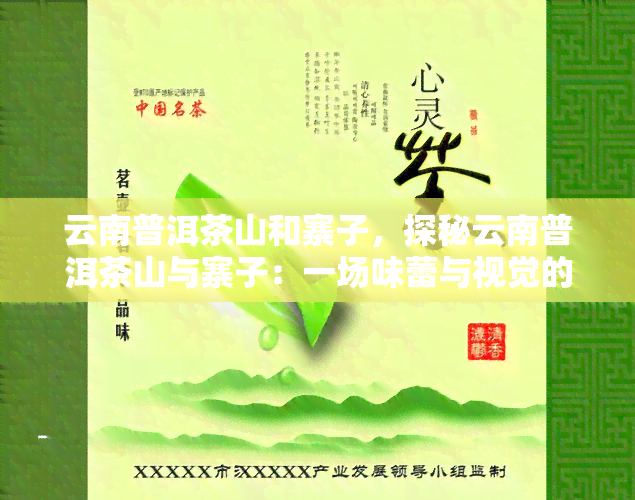 云南普洱茶山和寨子，探秘云南普洱茶山与寨子：一场味蕾与视觉的宴