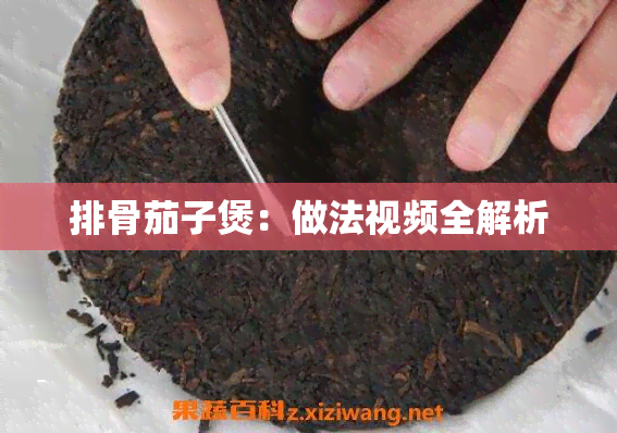 排骨茄子煲：做法视频全解析