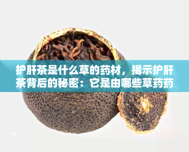 护肝茶是什么草的药材，揭示护肝茶背后的秘密：它是由哪些草药药材制成的？