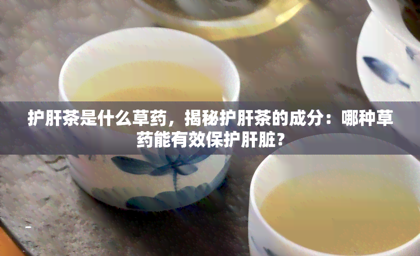 护肝茶是什么草药，揭秘护肝茶的成分：哪种草药能有效保护肝脏？