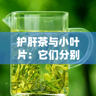 护肝茶与小叶片：它们分别是什么草药？