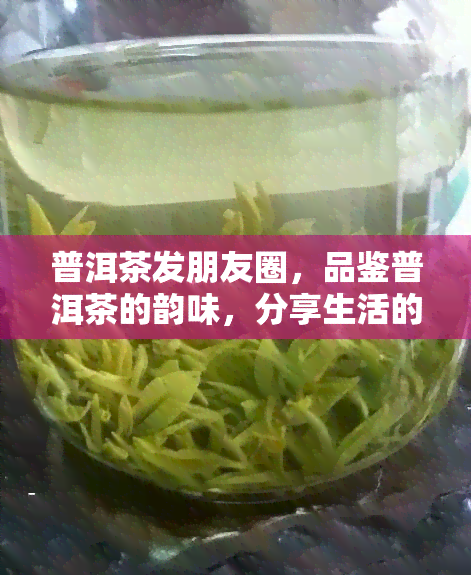 普洱茶发朋友圈，品鉴普洱茶的韵味，分享生活的美好——我的普洱茶之旅