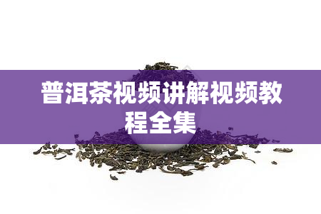 普洱茶视频讲解视频教程全集