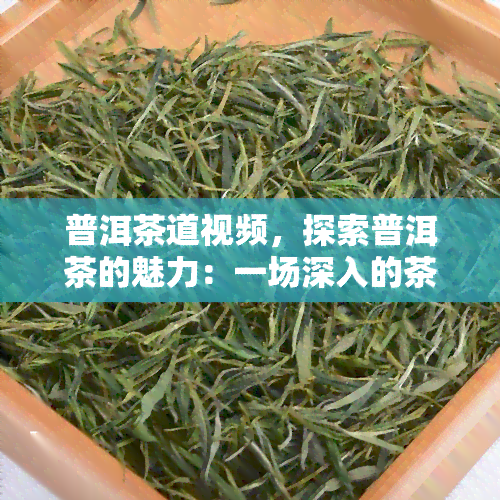 普洱茶道视频，探索普洱茶的魅力：一场深入的茶道之旅视频