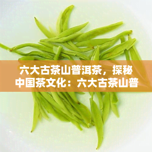 六大古茶山普洱茶，探秘中国茶文化：六大古茶山普洱茶的传奇与魅力