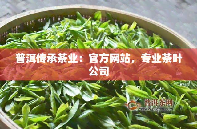 普洱传承茶业：官方网站，专业茶叶公司