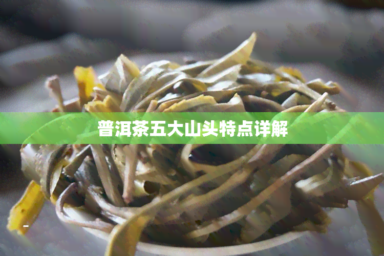 普洱茶五大山头特点详解