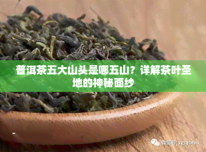 普洱茶五大山头是哪五山？详解茶叶圣地的神秘面纱