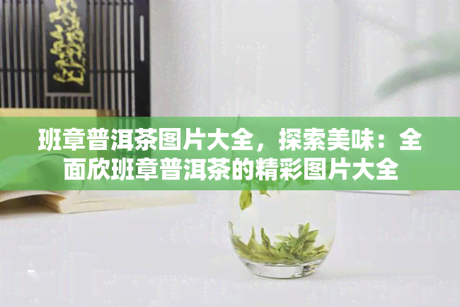 班章普洱茶图片大全，探索美味：全面欣班章普洱茶的精彩图片大全