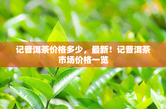 记普洱茶价格多少，最新！记普洱茶市场价格一览