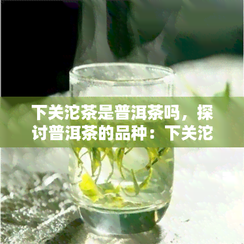 下关沱茶是普洱茶吗，探讨普洱茶的品种：下关沱茶，它是什么？