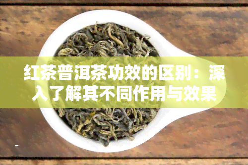 红茶普洱茶功效的区别：深入了解其不同作用与效果