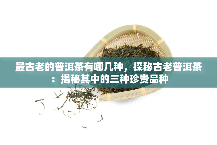 最古老的普洱茶有哪几种，探秘古老普洱茶：揭秘其中的三种珍贵品种