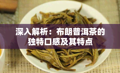 深入解析：布朗普洱茶的独特口感及其特点