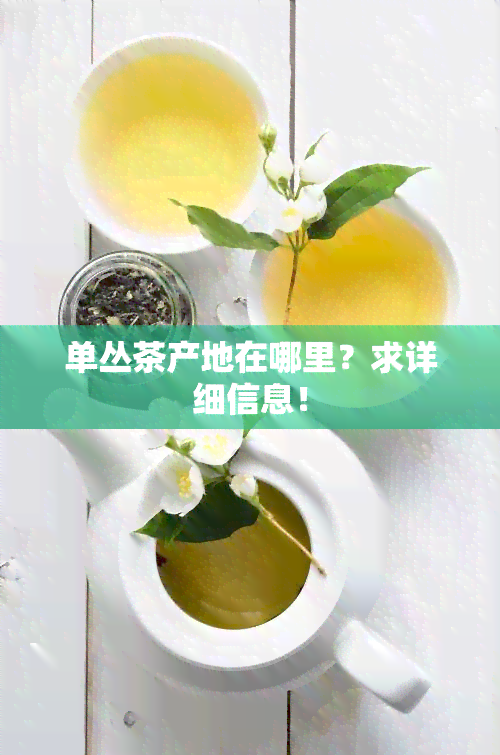 单丛茶产地在哪里？求详细信息！