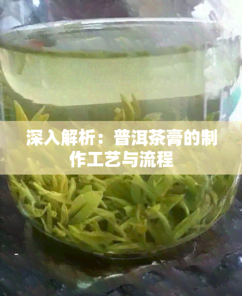 深入解析：普洱茶膏的制作工艺与流程