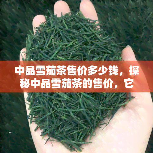 中品雪茄茶售价多少钱，探秘中品雪茄茶的售价，它是如何定价的？