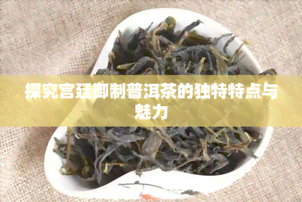 探究宫廷御制普洱茶的独特特点与魅力