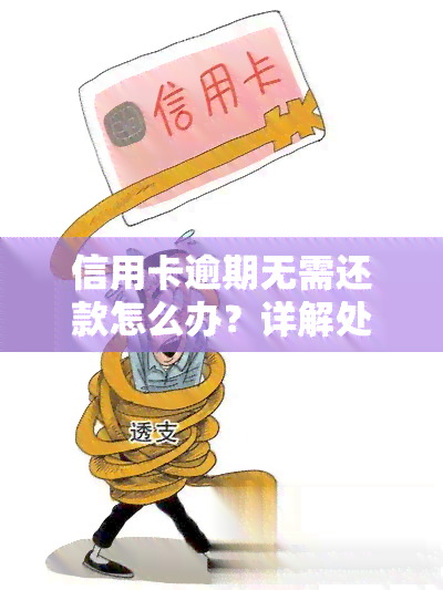 信用卡逾期无需还款怎么办？详解处理方法与办理流程