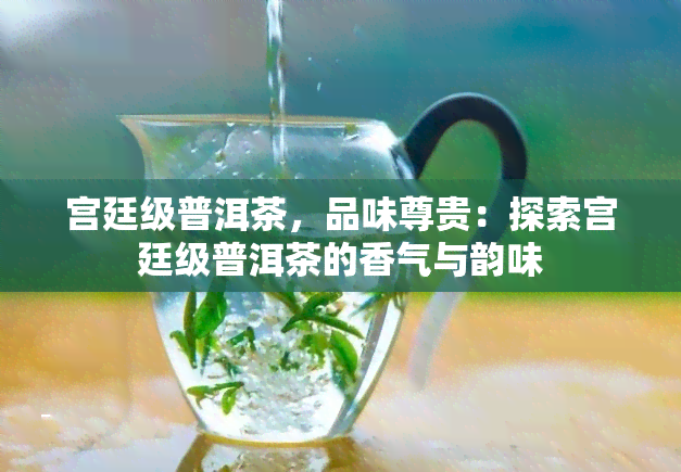 宫廷级普洱茶，品味尊贵：探索宫廷级普洱茶的香气与韵味