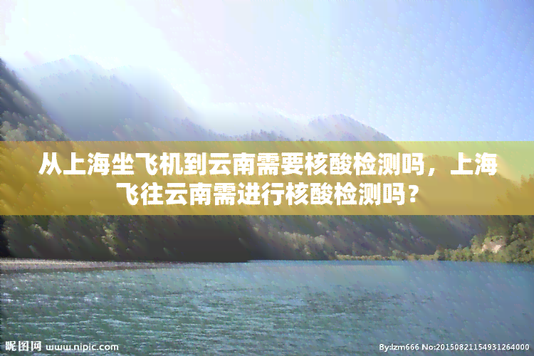 从上海坐飞机到云南需要核酸检测吗，上海飞往云南需进行核酸检测吗？