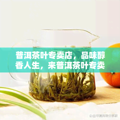 普洱茶叶专卖店，品味醇香人生，来普洱茶叶专卖店选购您的更爱！