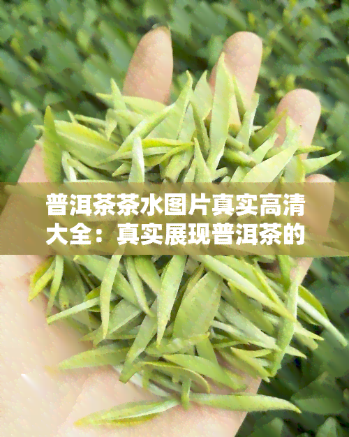 普洱茶茶水图片真实高清大全：真实展现普洱茶的独特韵味与美丽