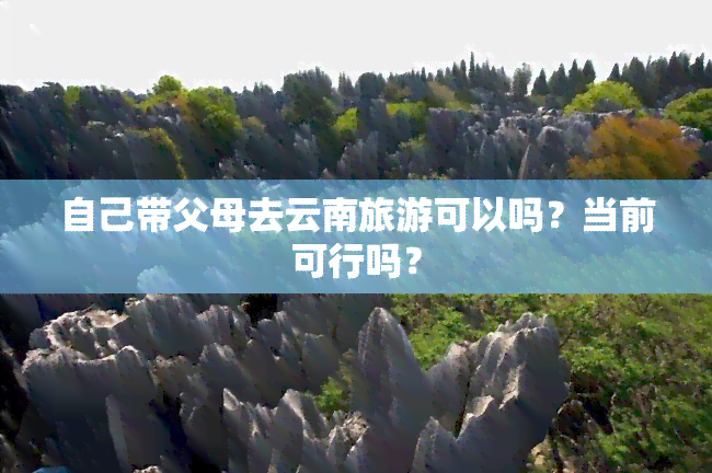 自己带父母去云南旅游可以吗？当前可行吗？