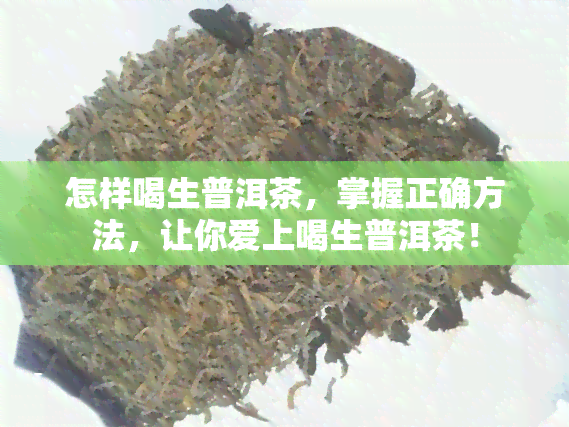 怎样喝生普洱茶，掌握正确方法，让你爱上喝生普洱茶！