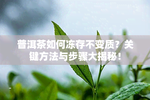 普洱茶如何冻存不变质？关键方法与步骤大揭秘！