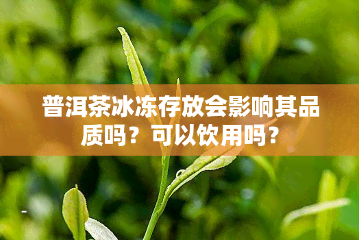 普洱茶冰冻存放会影响其品质吗？可以饮用吗？