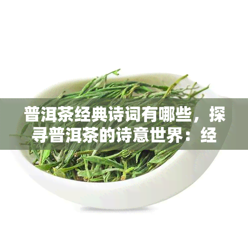 普洱茶经典诗词有哪些，探寻普洱茶的诗意世界：经典诗词大