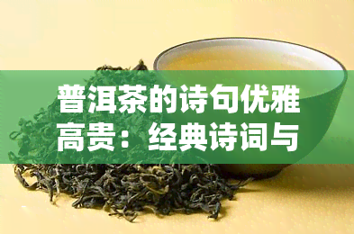 普洱茶的诗句优雅高贵：经典诗词与优美语录