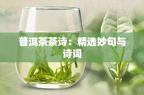 普洱茶茶诗：精选妙句与诗词