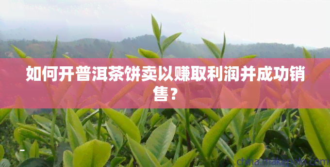 如何开普洱茶饼卖以赚取利润并成功销售？