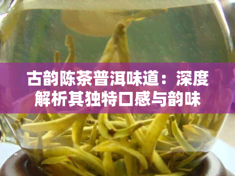 古韵陈茶普洱味道：深度解析其独特口感与韵味