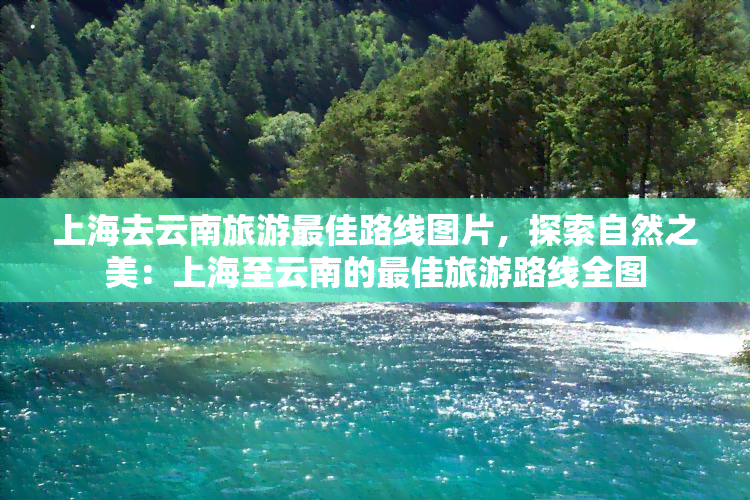 上海去云南旅游更佳路线图片，探索自然之美：上海至云南的更佳旅游路线全图